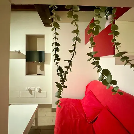 Apartment Niki O. *